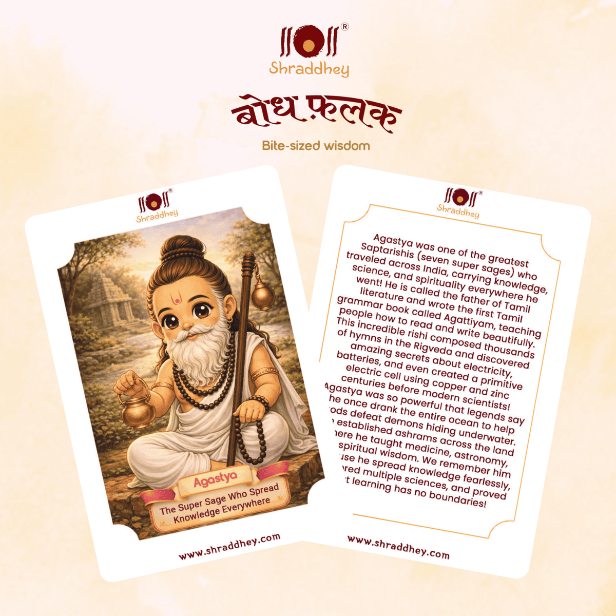 Bodh Falak - Know Our Rishi/Rishika Flash Cards (Set of 24 cards)