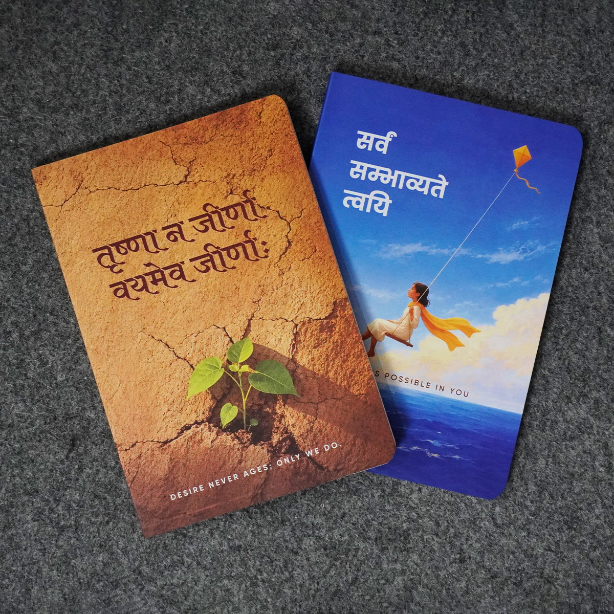 Prishthika Pack of 2: Desire and Possible notebooks