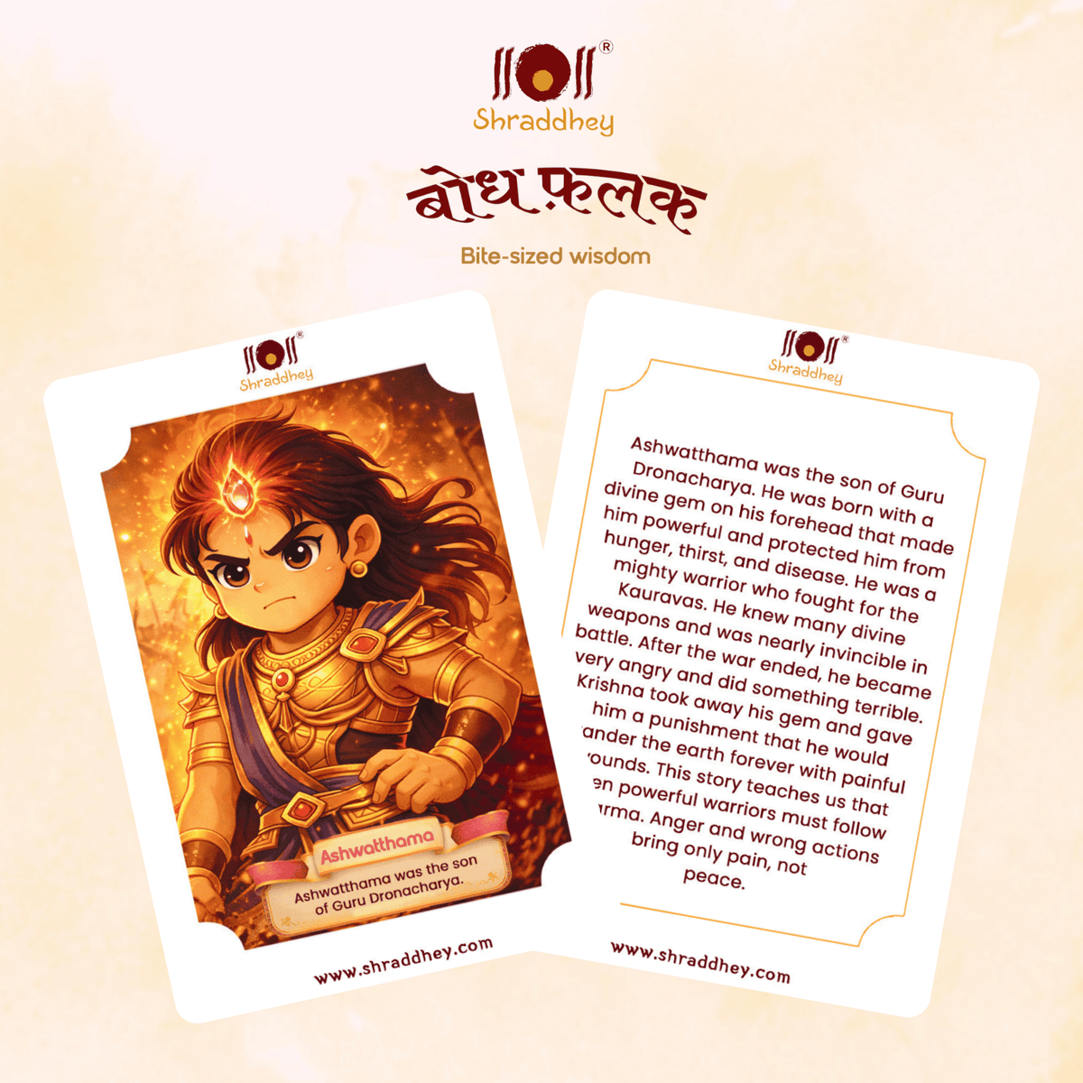 Bodh Falak - Mahabharata Flash Cards (Set of 24 cards)